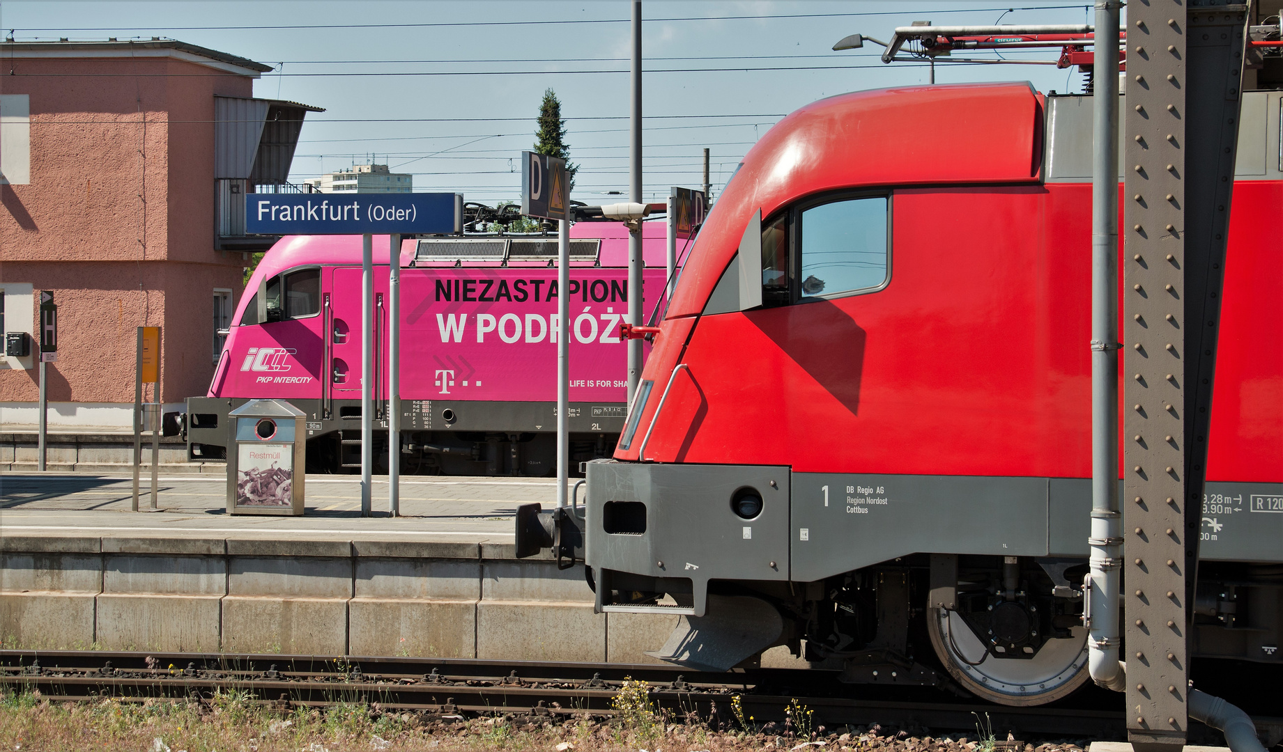 Rot grüßt Pink...