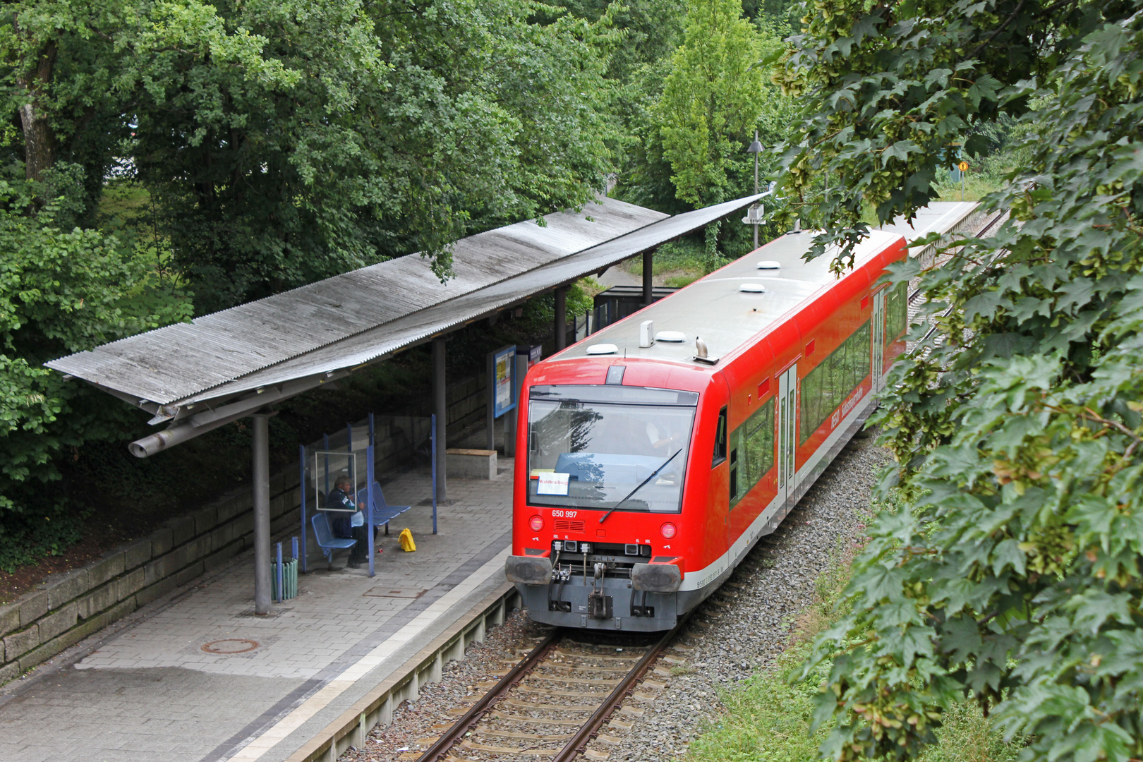 Rot im Grünen