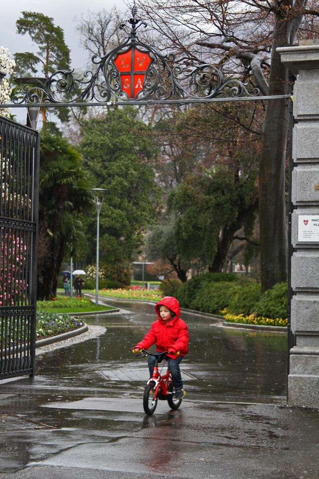 rot im Regen