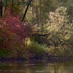 Rot im Schatten