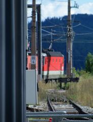 Rot im Überfluss