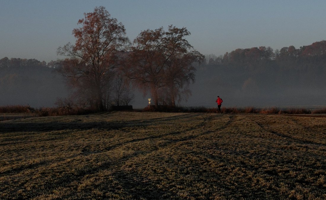 Rot im Visier