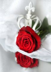 Rot ist die Liebe