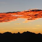 Rot Knallt In Das Blau