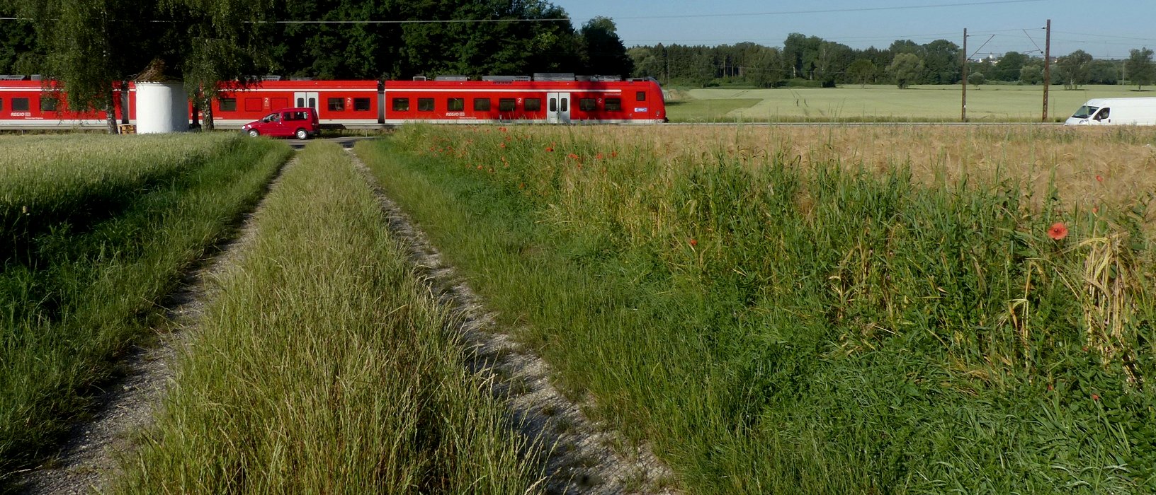 Rot-Kreuz