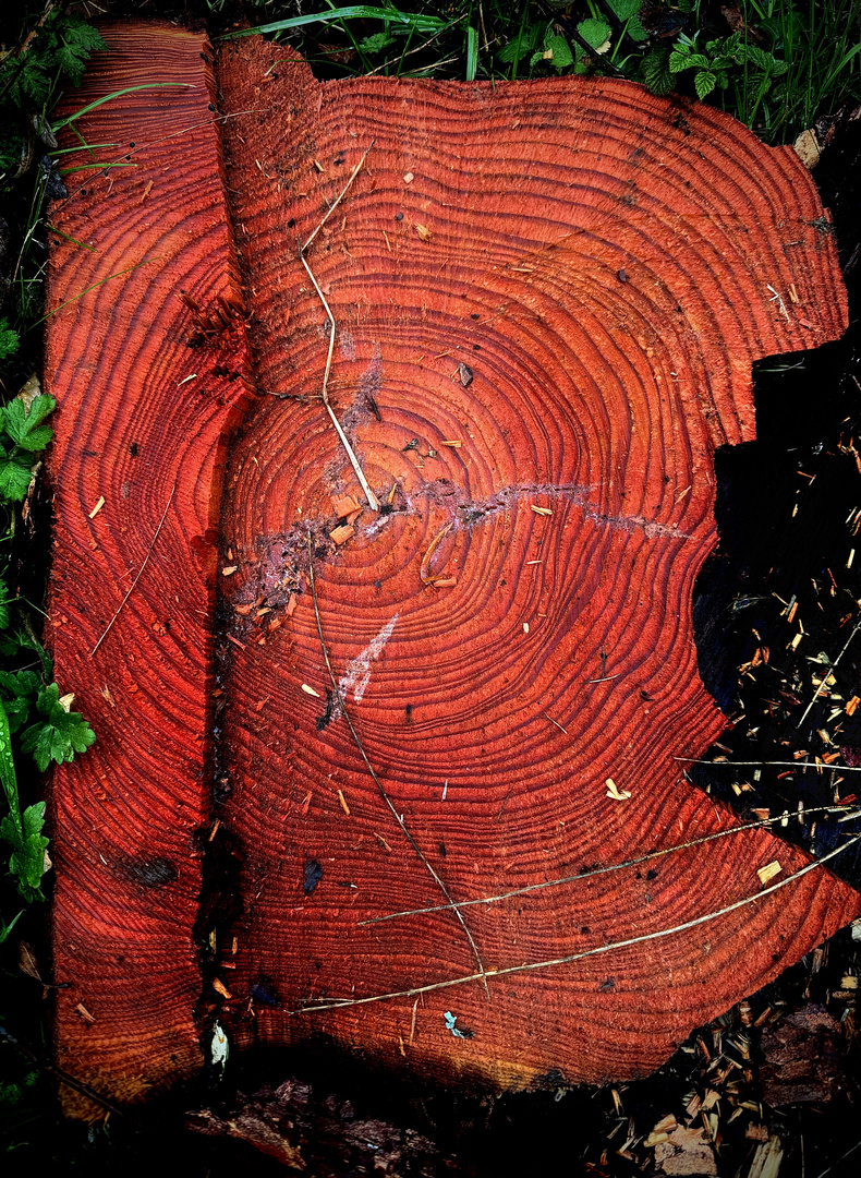 Rot Leuchtend