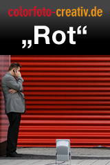 Rot small