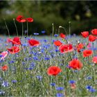 Rot und Blau