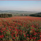 Rot und blau