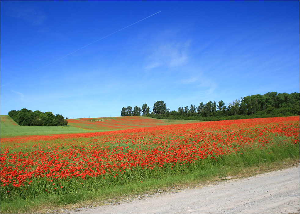 Rot und Blau...