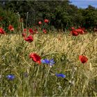 Rot und Blau