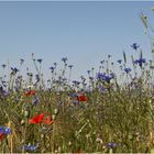 Rot und Blau und Grün