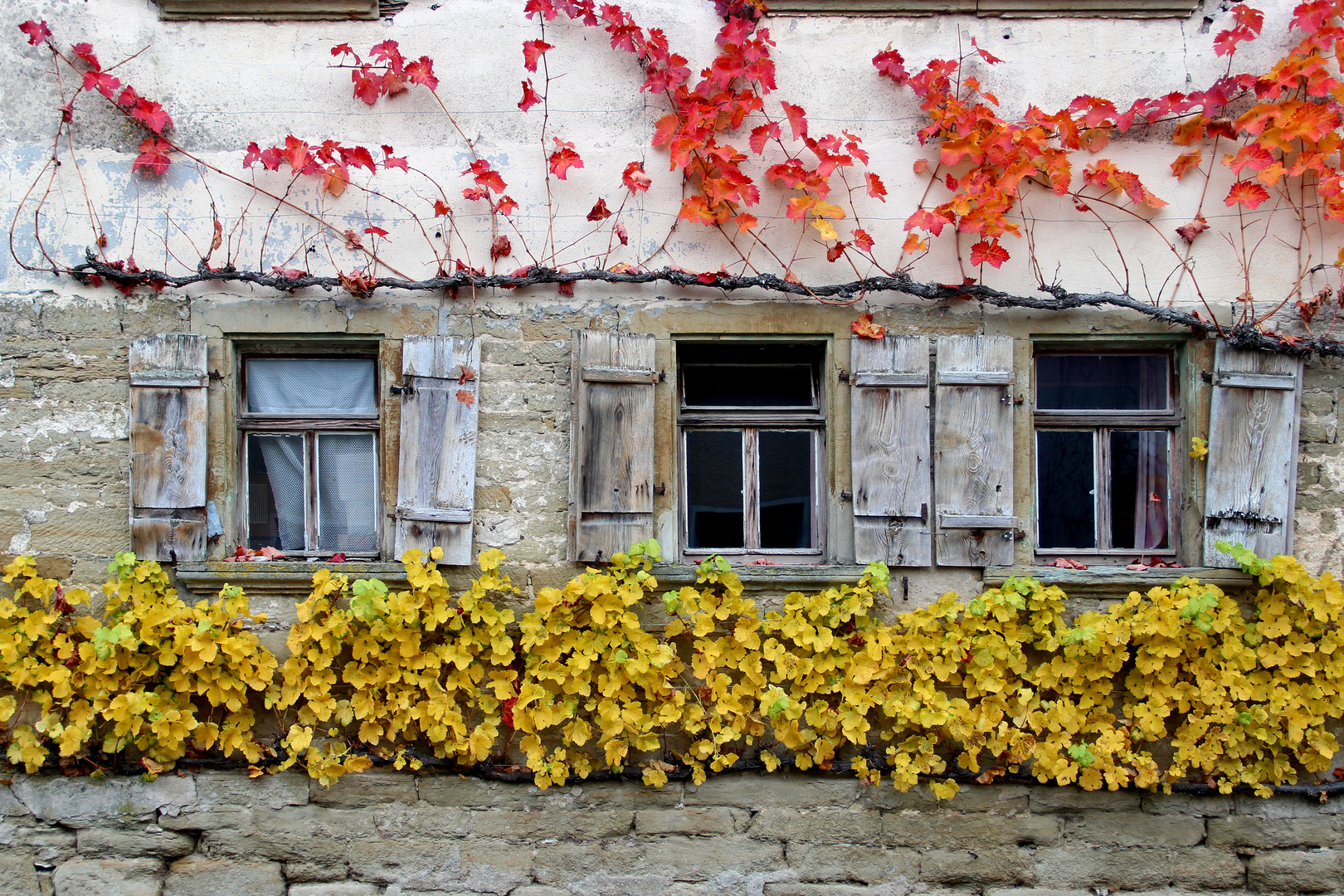 rot und gelb...