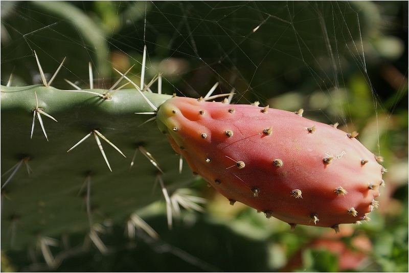 rot und grün