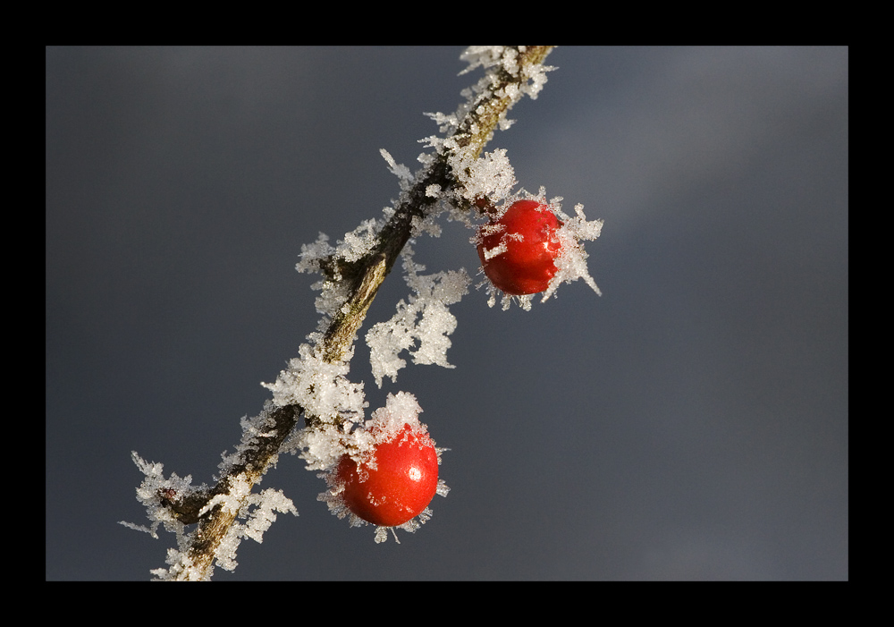 rot und rot