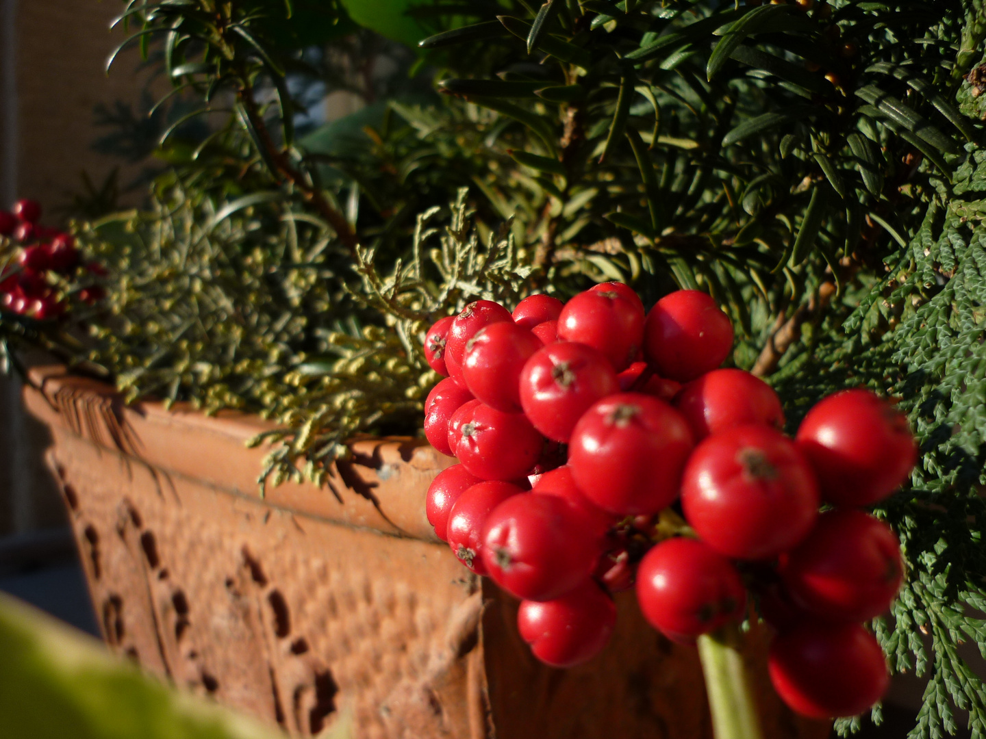 Rot und Rund