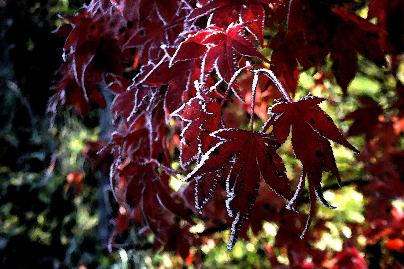 ...Rot und Weiss...