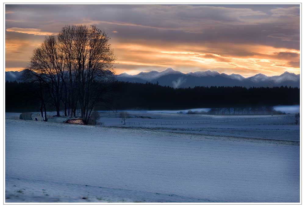 Rot - Weiss