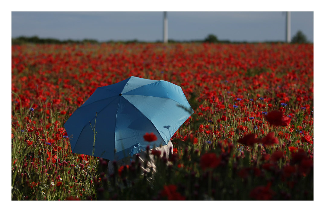 Rot-Weiß-Blau