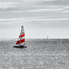 Rot-Weiß im Watt von Büsum