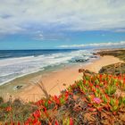 Rota Vicentina, Küste Portugal 