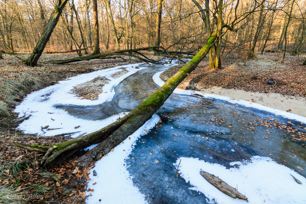 Rotbach als Blaubach