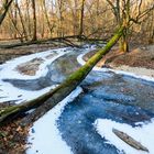 Rotbach als Blaubach