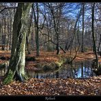 Rotbach Herbst 2009