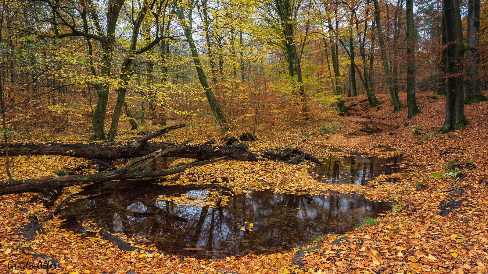 Rotbach im Herbst