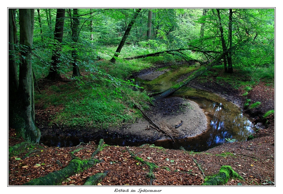 Rotbach im Spätsommer