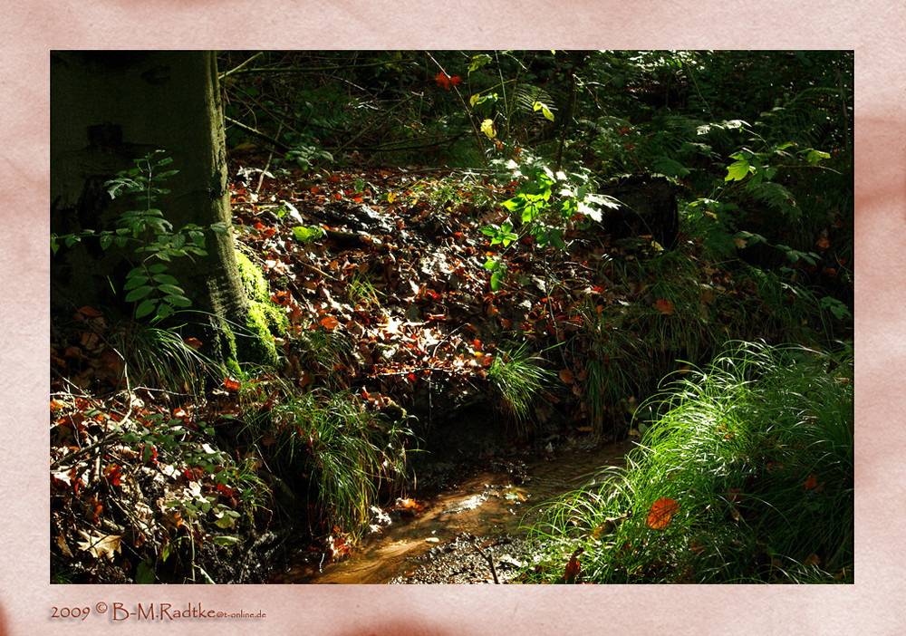 Rotbachroute im Herbst