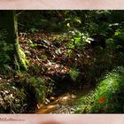 Rotbachroute im Herbst