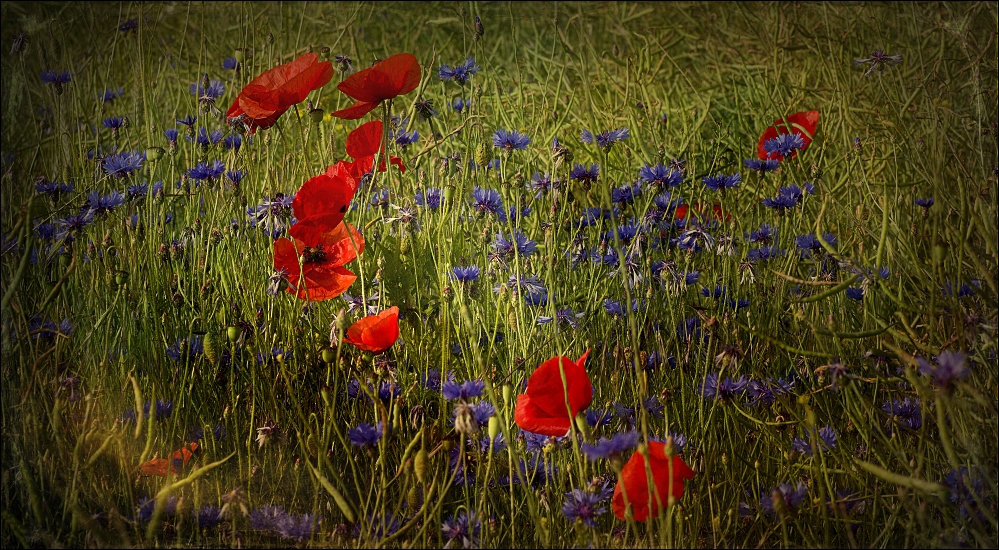 ~rot~blau~grün~