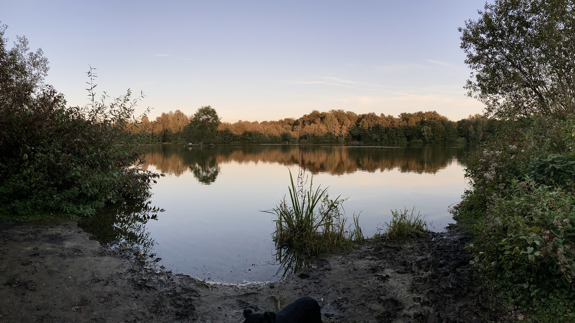 Rotbrauner Oktober am See (Hund)