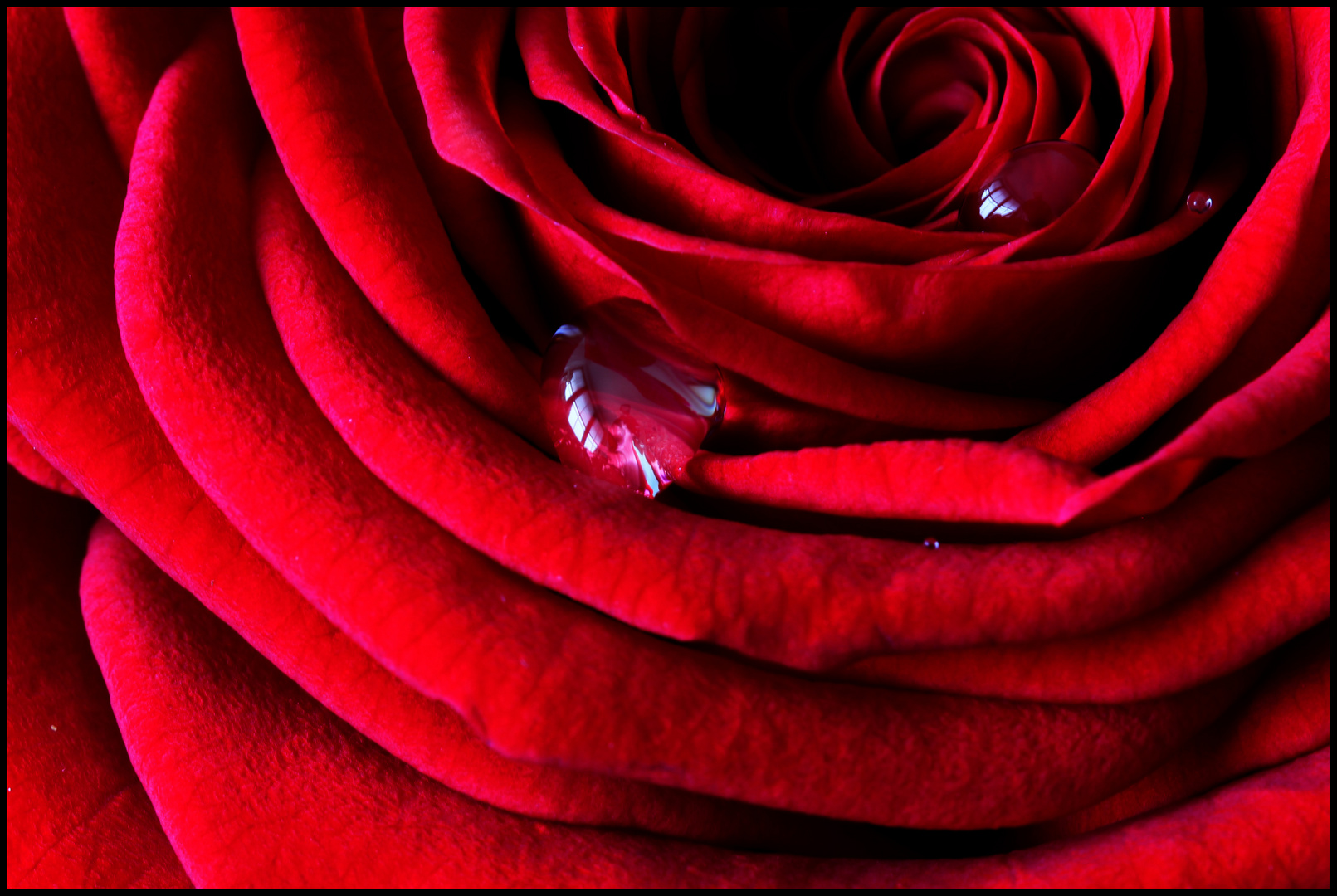 Rot....die Farbe der Liebe....