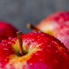 rote Äpfel (1)