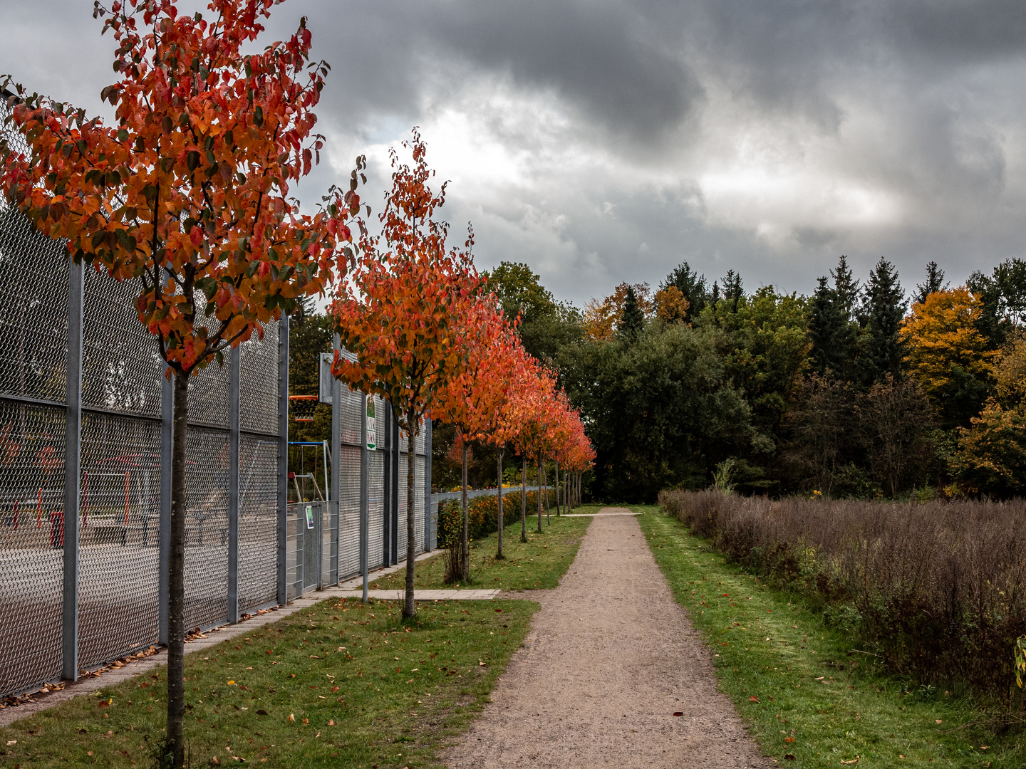 rote Allee