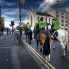 rote Ampel in Glasgow