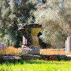 Rote Anemonen in den Ruinen des alten Olympia