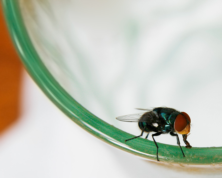 Rote Augen vom Alkohol?