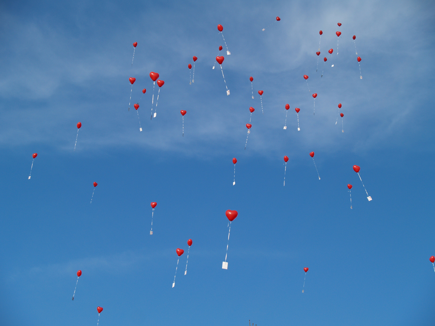 Rote Ballons am blauen Himmel