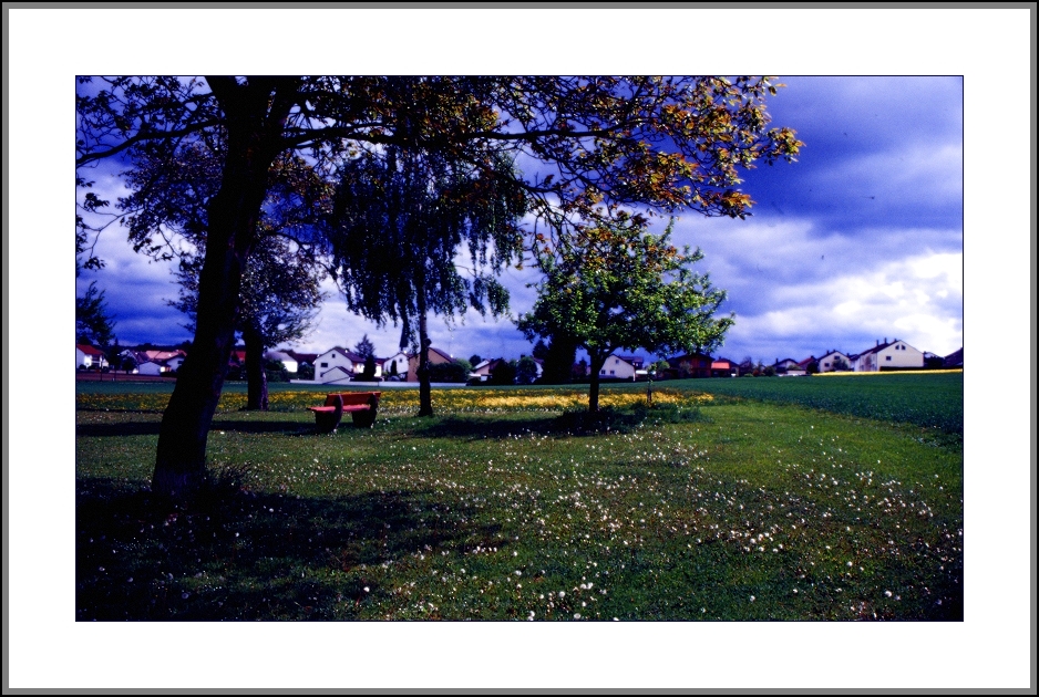 Rote Bank Im Frühling