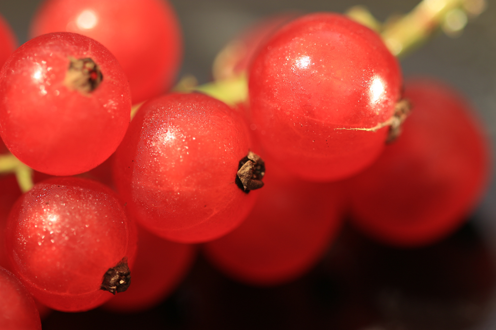 rote Beeren