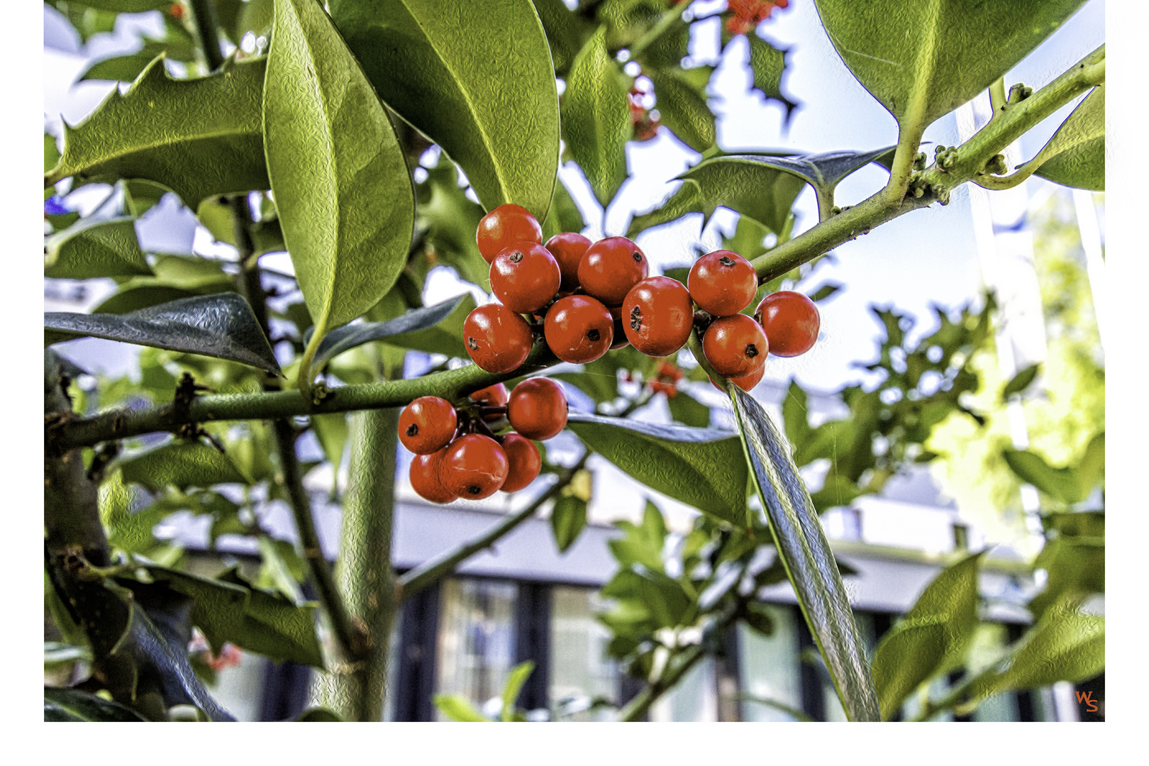 rote Beeren-Spielerei