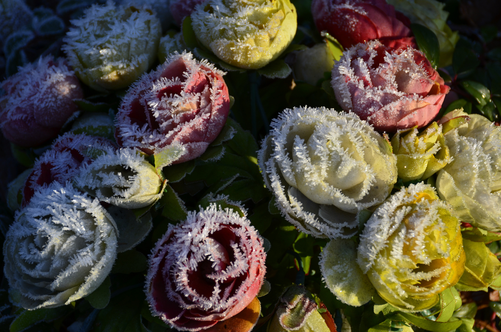 rote Blume im Frost