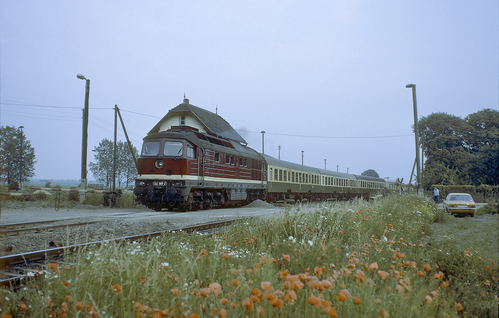 Rote Blumen für Ludmilla