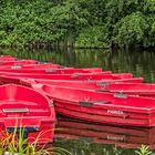 Rote Boote am Ufer