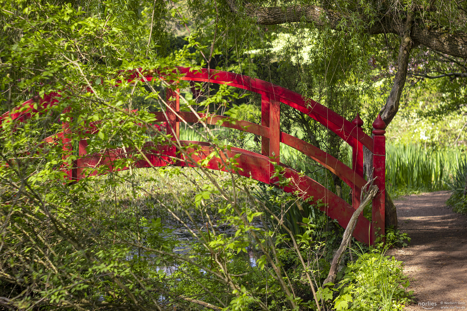 Rote Brücke im Grünen