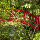 Rote Brücke im Grünen