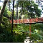 Rote Brücke im Park